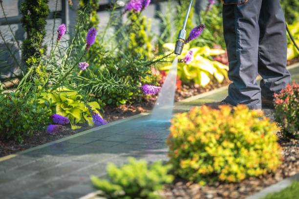 Best Fence Cleaning  in Larimore, ND
