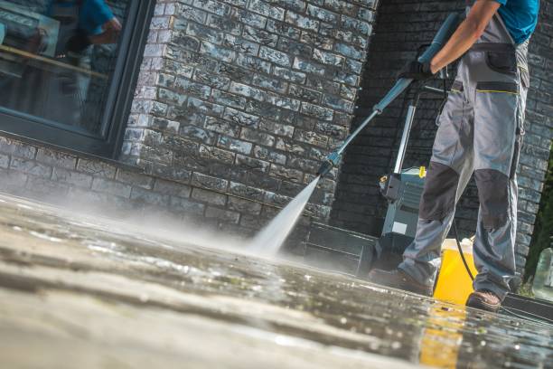 Best Building Exterior Washing  in Larimore, ND